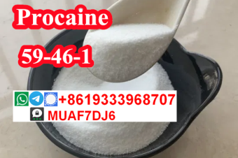 Top quality Procaine CAS59461 Procaine base 